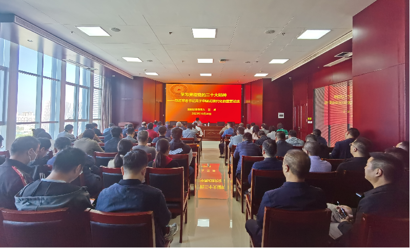 紧跟核心强忠诚 在深学细悟中坚定信仰信念 ——亚搏-亚搏（中国）一站式服务官方网站负责人汪洋同志为全体党员讲授主题教育专题党课